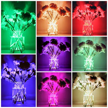 Load image into Gallery viewer, Remote LED Color Change, Submersible Lights