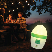 Load image into Gallery viewer, Fire Fly Patio Light - FF-1