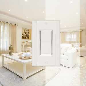 Plastic White w/White Sides Wallplate - 10-80R
